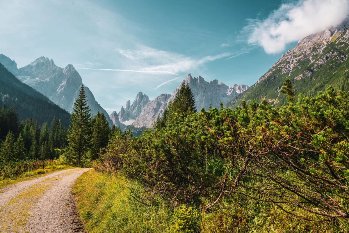 Zdrowy styl życia – klucz do dobrego samopoczucia i długiego życia