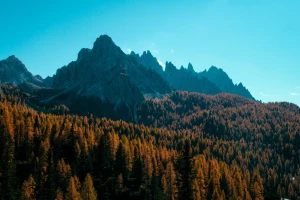 Mity i fakty o meblach z naturalnych materiałów — co mówi nauka?