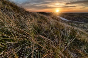 Zadbaj o zdrowie: 10 skutecznych kroków ku lepszemu samopoczuciu!